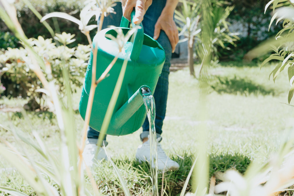 Watering plants