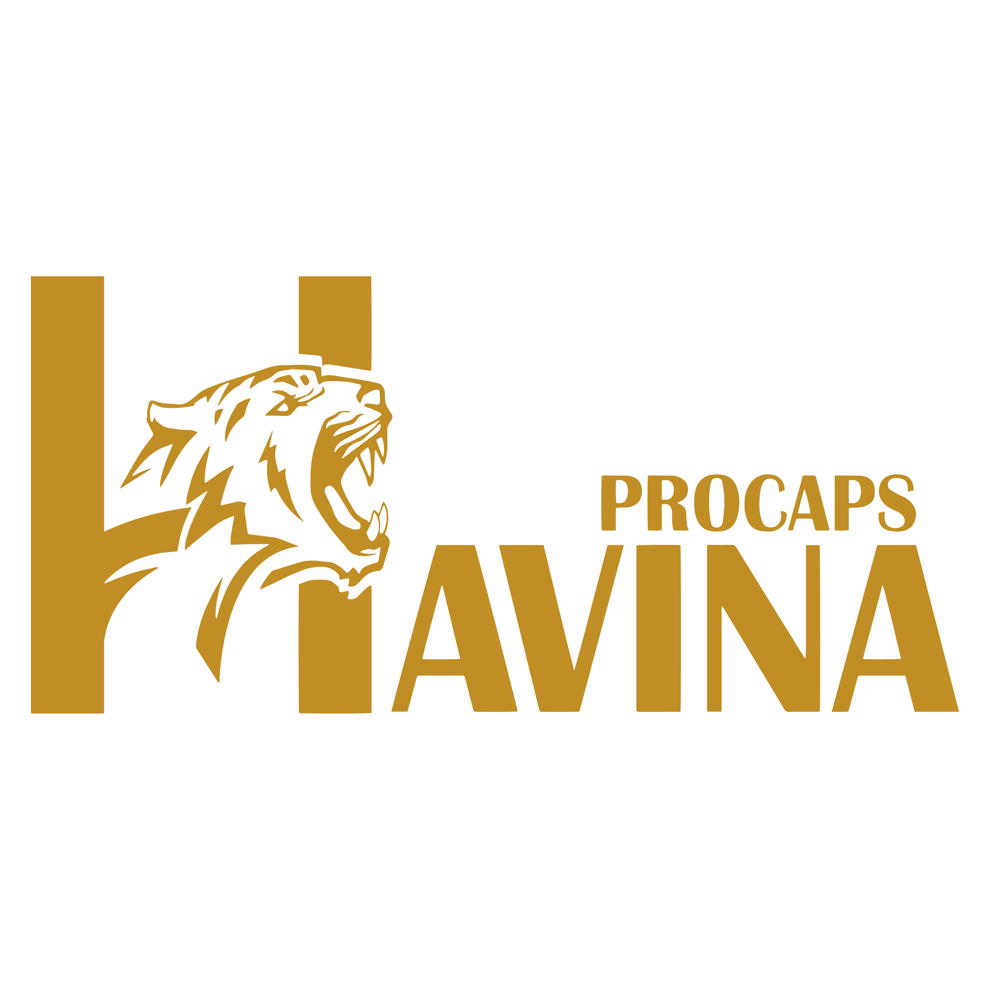 Havina Pro Caps Store