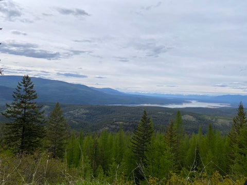 A photograph of the Koocanusa reservoir in Montana taken from nearby mountains