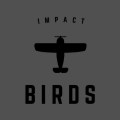 Logo Birds