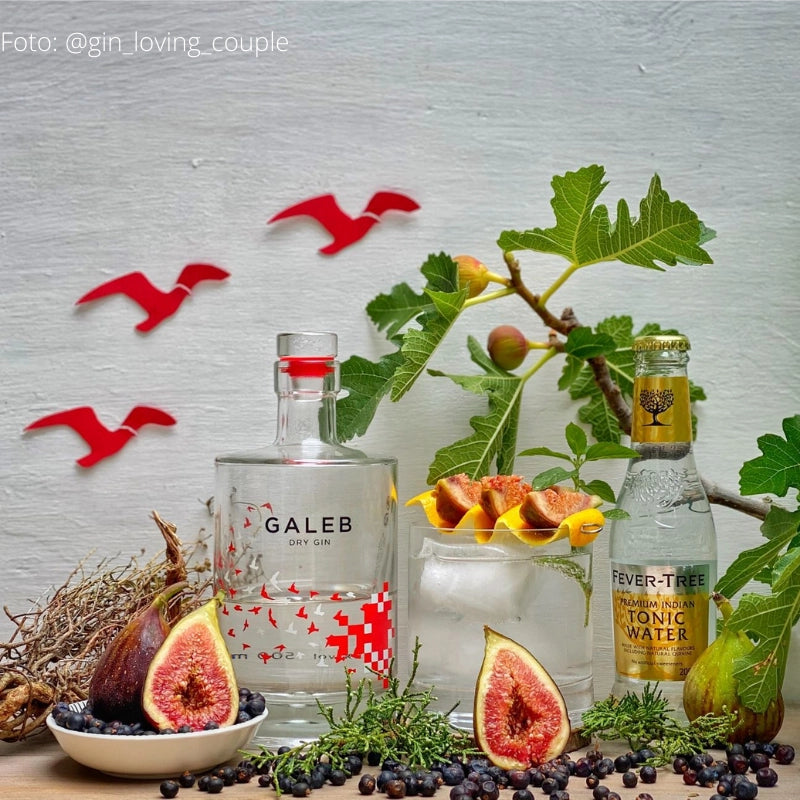 Galeb Dry Gin - London Dry Gin aus Baden-Württemberg