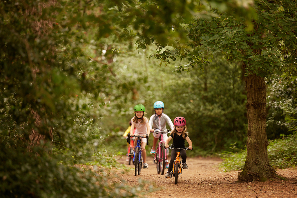 Kinder fahren mit Kindderfahrrädern durch einen Wald