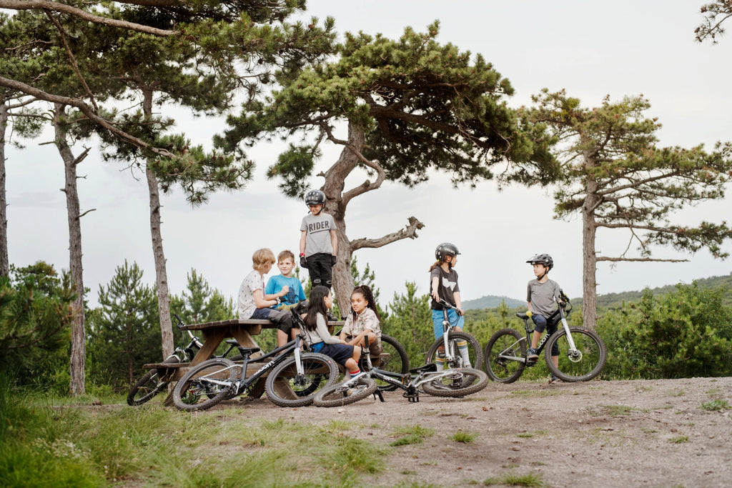 Eine Gruppe Kinder steht mit Woom Mountainbikes im Wald