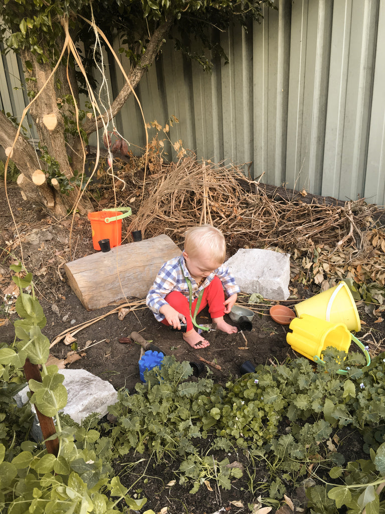 amble and twine dried flowers australia how a gardening australia episode changed my life