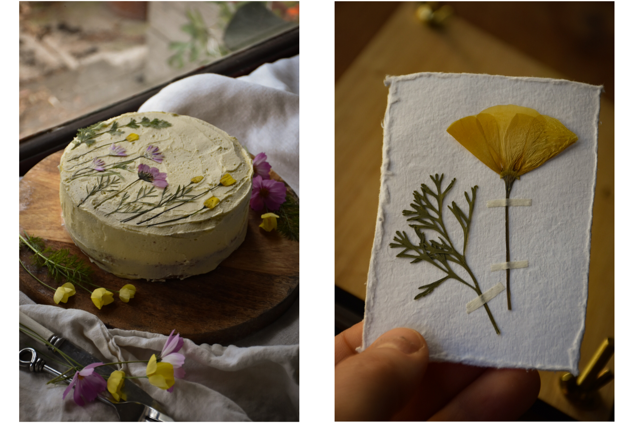 amble and twine dried flowers australia top tips for creating perfectly pressed flowers