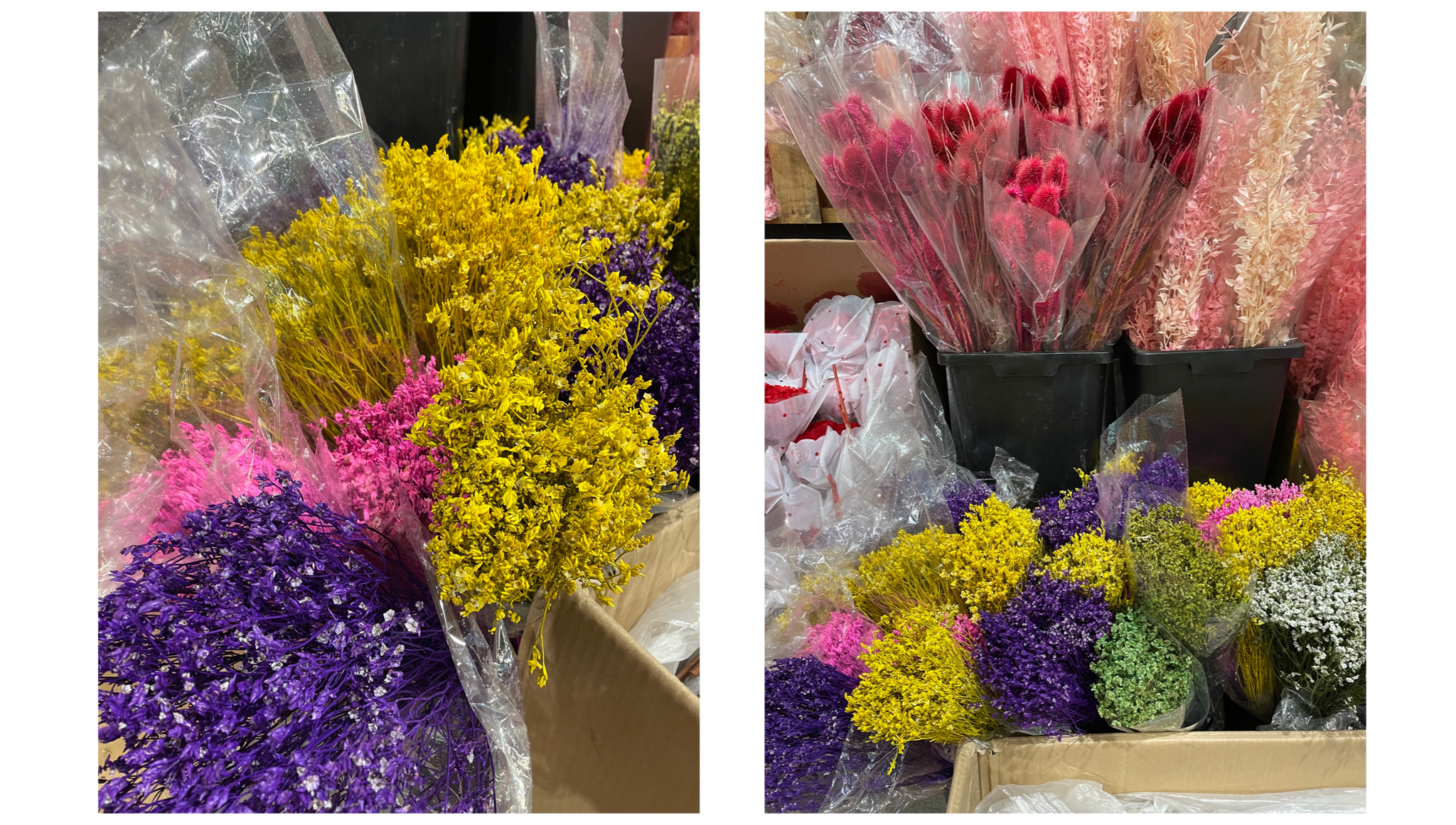 amble and twine dried flowers australia the dark side of dried chemically preserved flowers