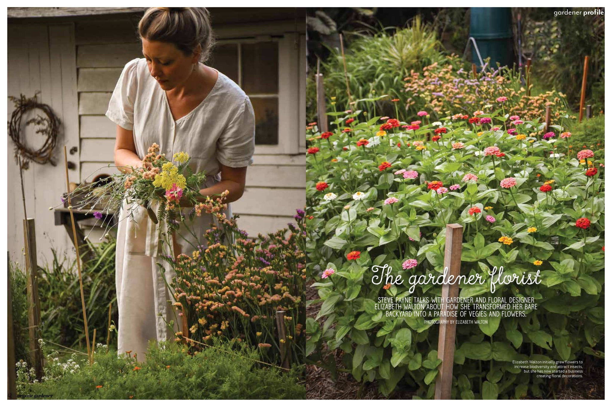 amble and twine dried flowers australia as seen in organic gardener magazine