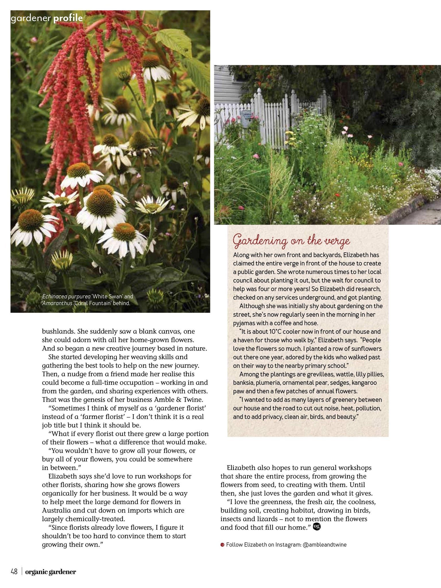 amble and twine dried flowers australia as seen in organic gardener magazine