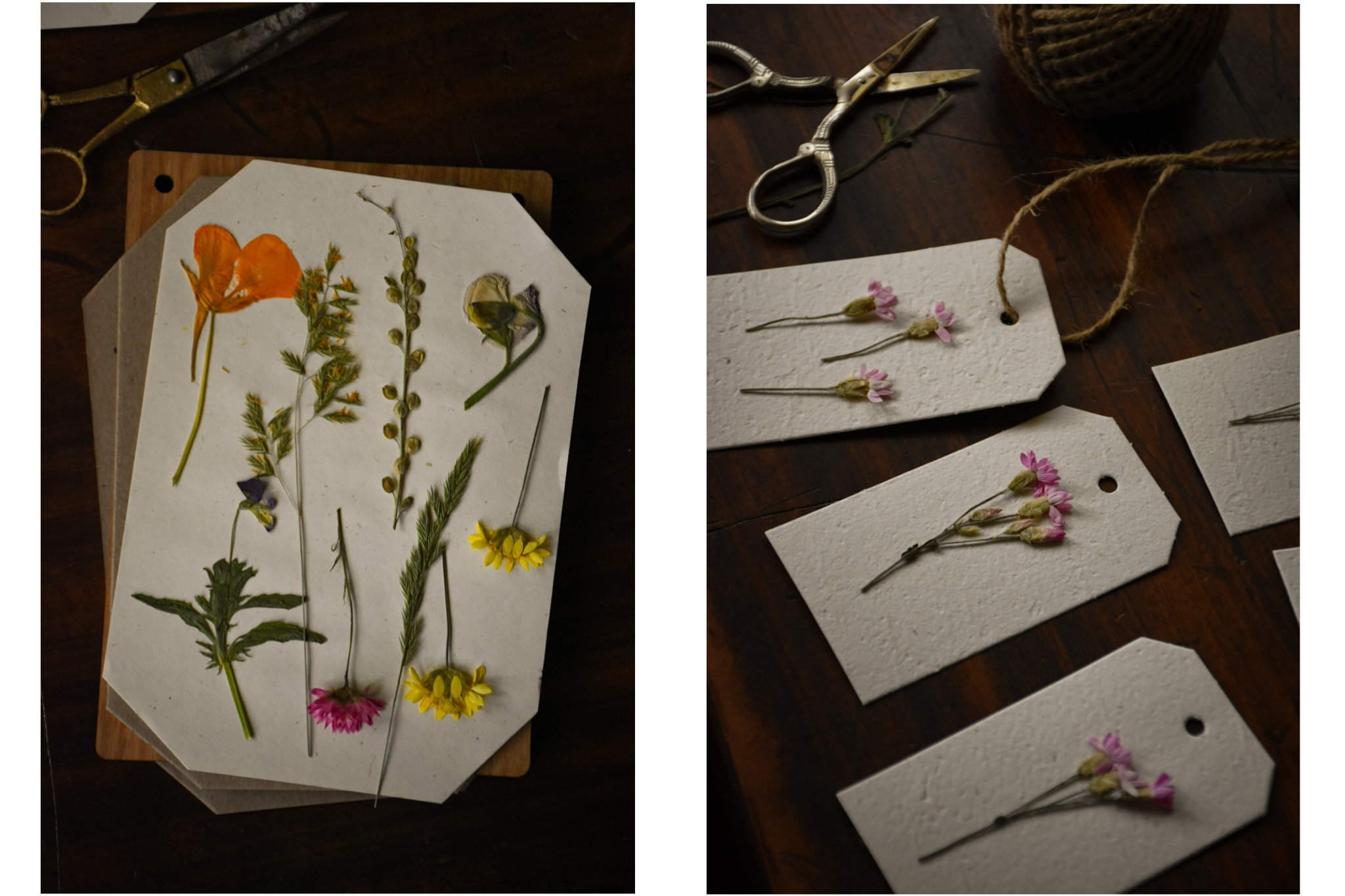 amble and twine dried flowers australia top tips for creating perfectly pressed flowers