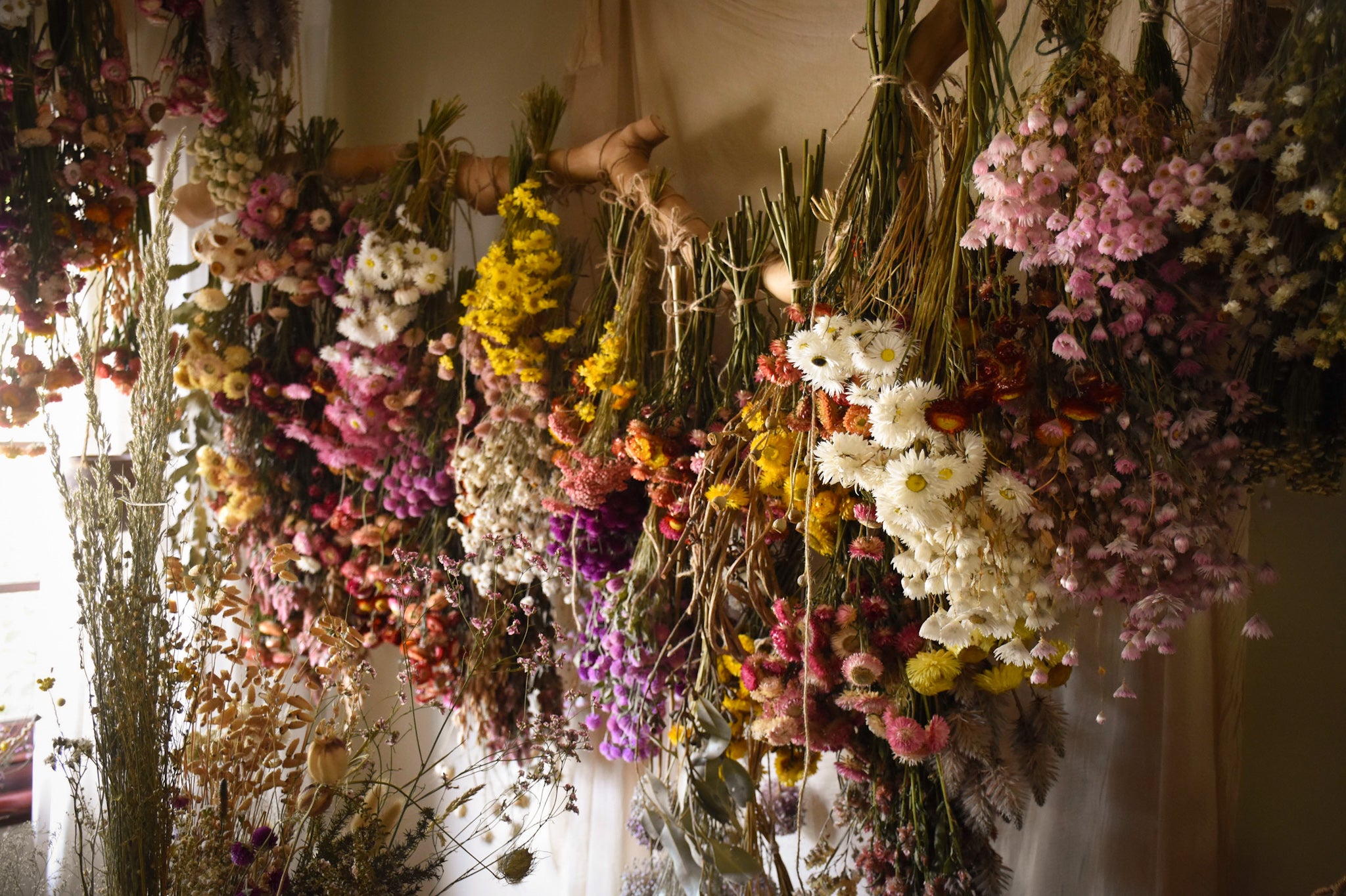 amble and twine dried flowers australia how to dry flowers at home and keep colour