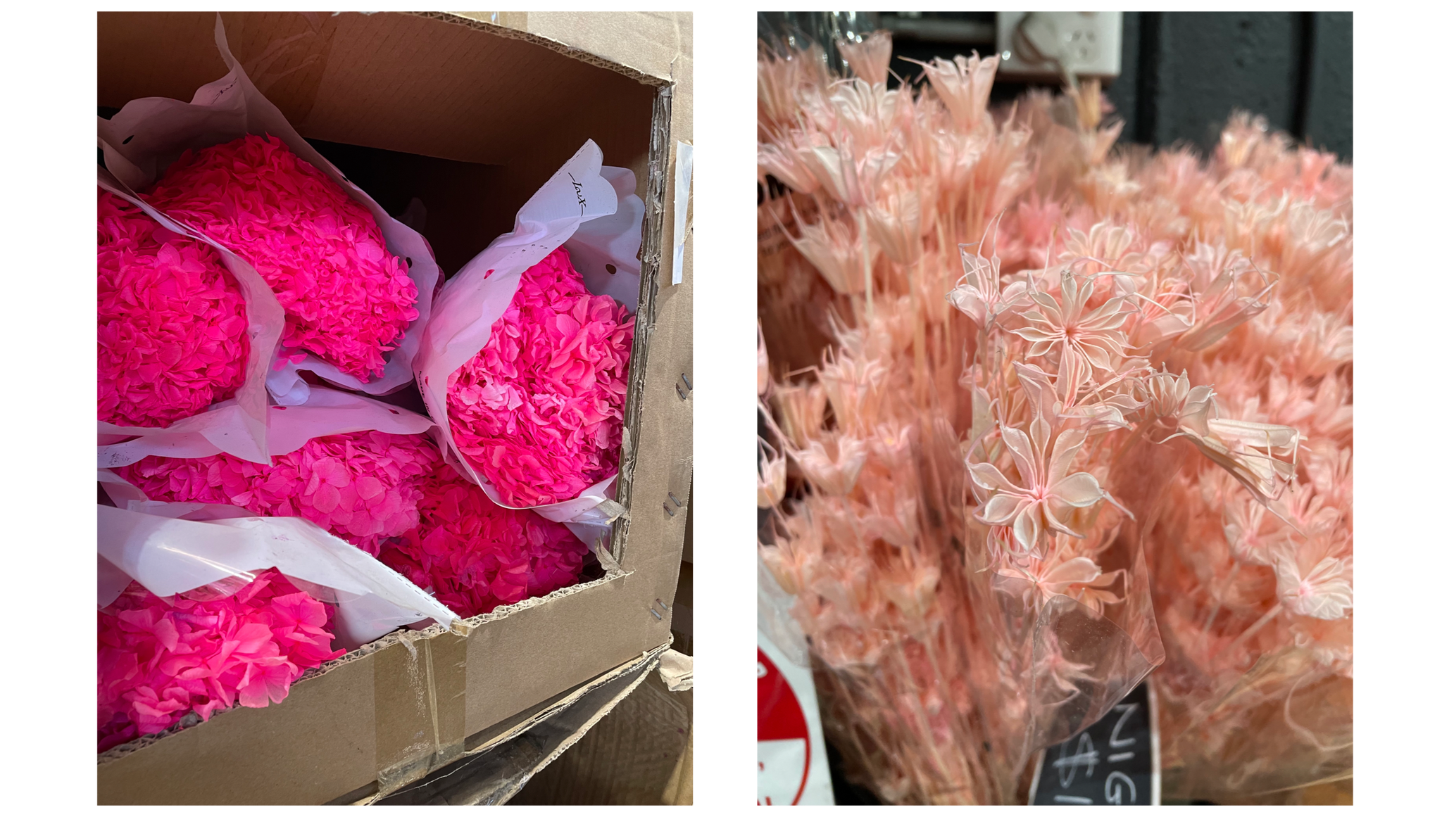 amble and twine dried flowers australia the dark side of dried chemically preserved flowers