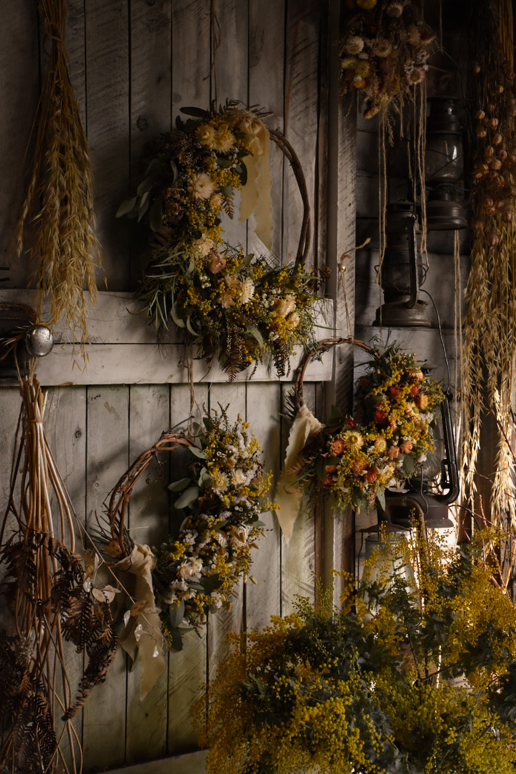 amble and twine dried flowers australia wattle season how to dry and create with australian acacias