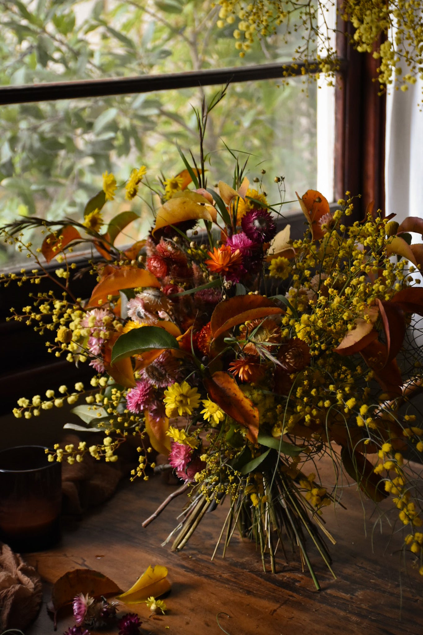 amble and twine dried flowers australia wattle season how to dry and create with australian acacias
