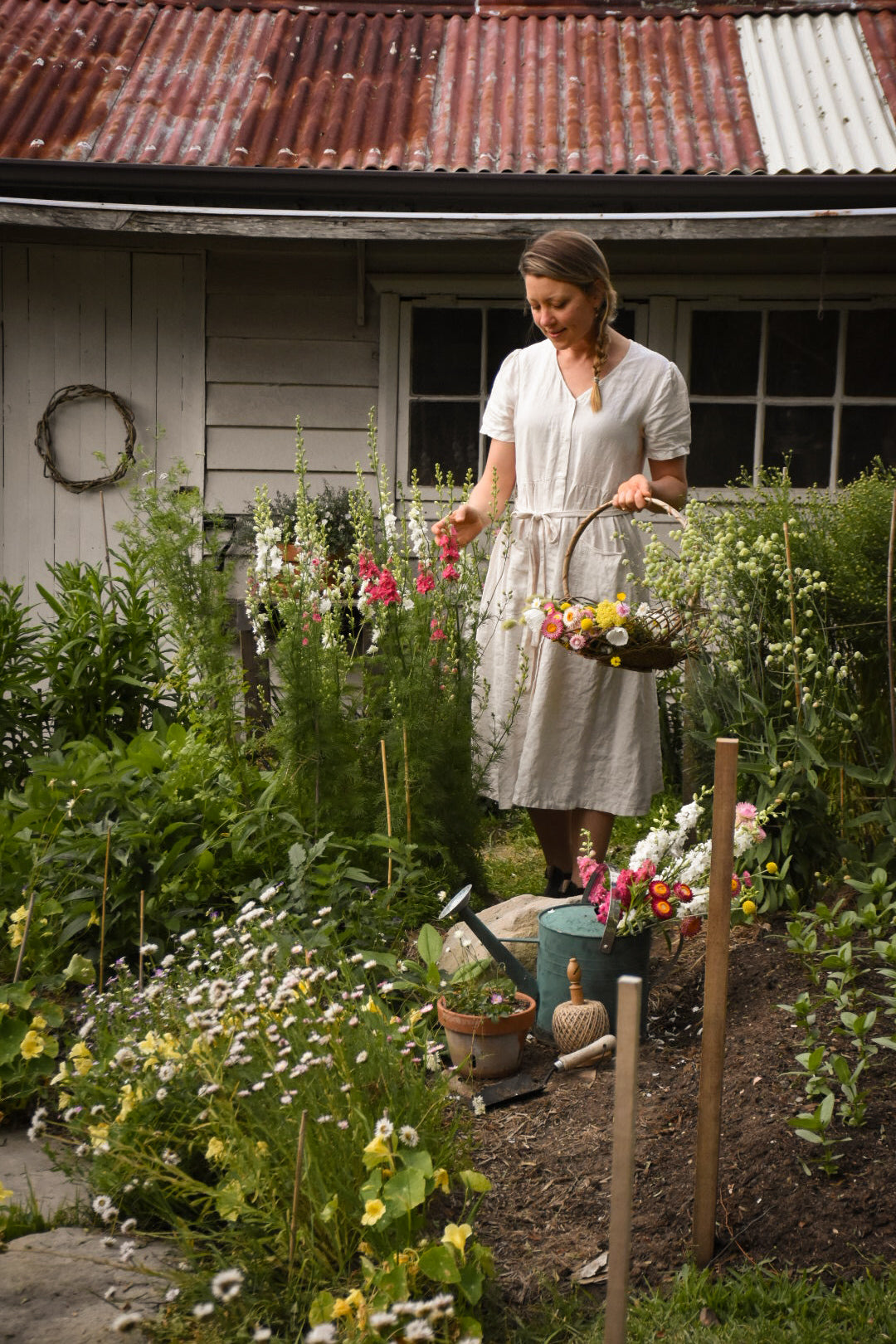 discover the best dried flowers australia has to offer amble and twine