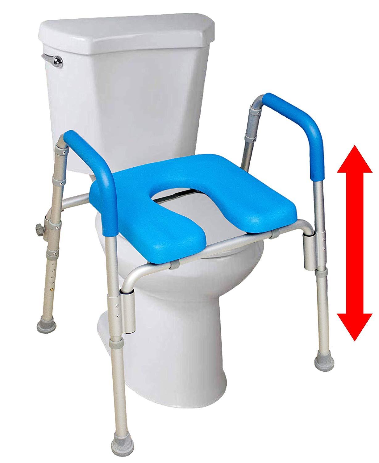 elevated toilet seat