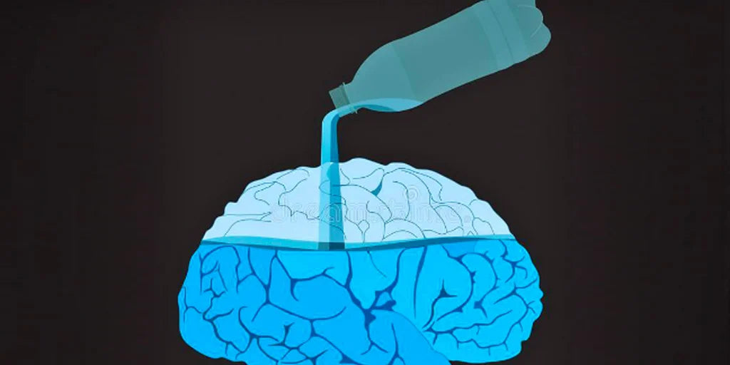 the hormonal and neurological processes related to hydration