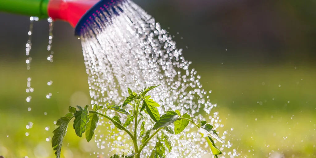Benefits of greywater recycling