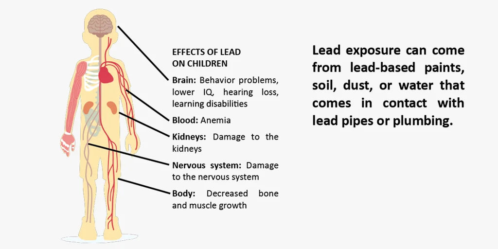 Health risks of lead may pose to the human body