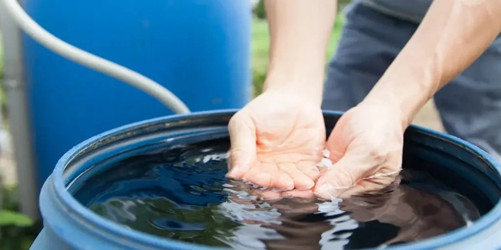 Grauwasserquellen und Sammlung