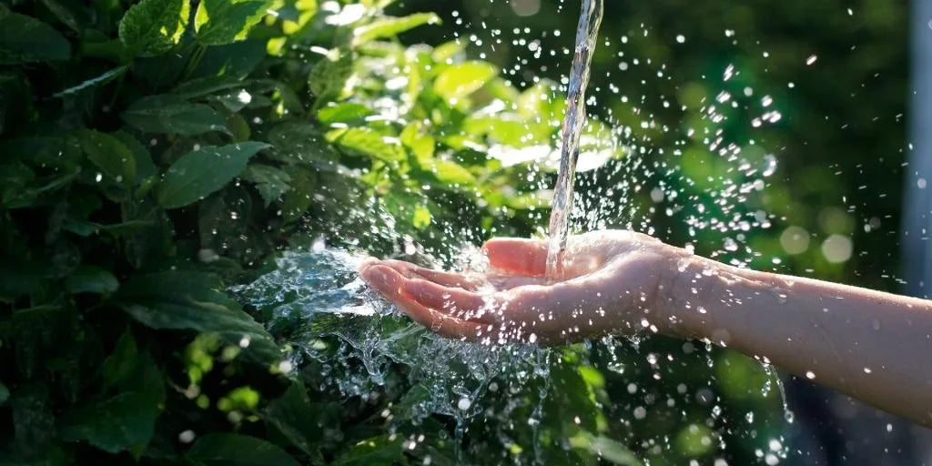 Wasserquellen schützen: Was können wir heute tun?