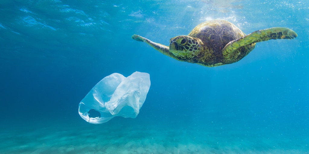 plastic-and-sea-turtle-in-the-ocean