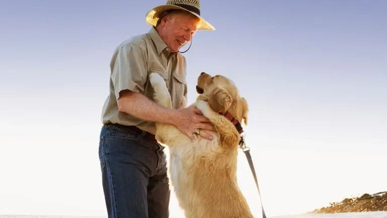 mon chien comprend-il mon amour