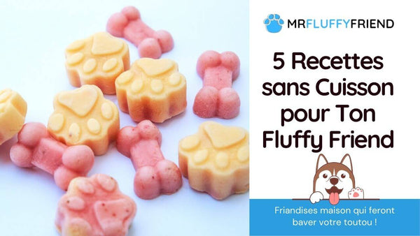 Gourmandises pour chiens maison