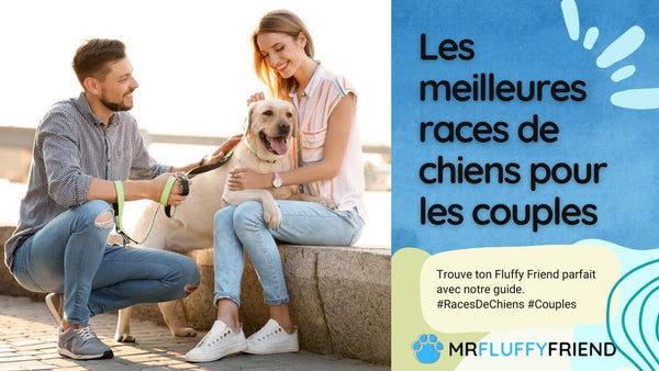 chiens pour les couples