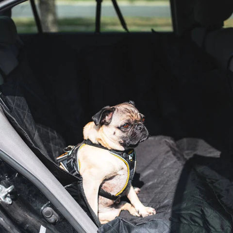 Grande housse de voiture pour chien, utilisable en mode panier ou  couverture - Fun tuning