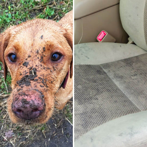 Protection pour les sièges de voiture pour chien - La Ferme Des