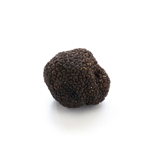 黒トリュフ 約20g – Patagonia Truffles