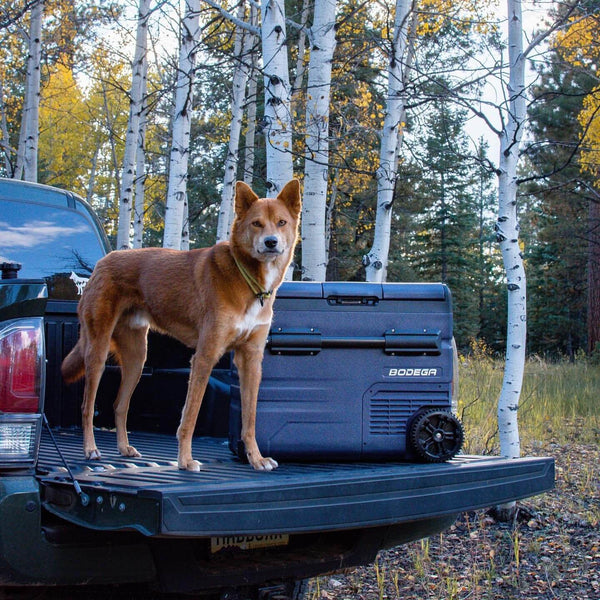 truck fridge