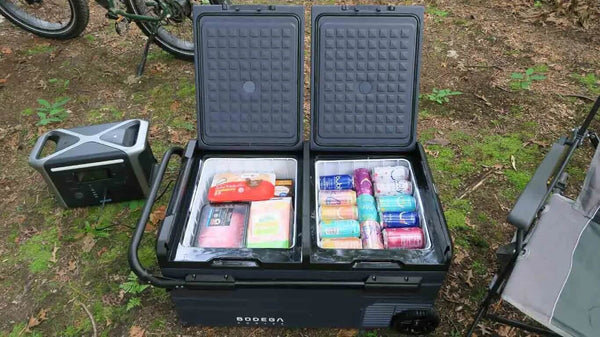 portable freezer with food
