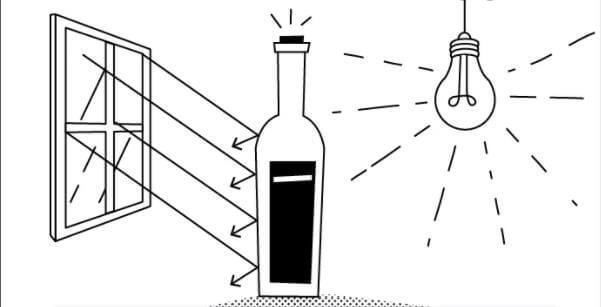 wine storage avoid light