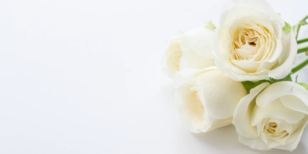 white roses