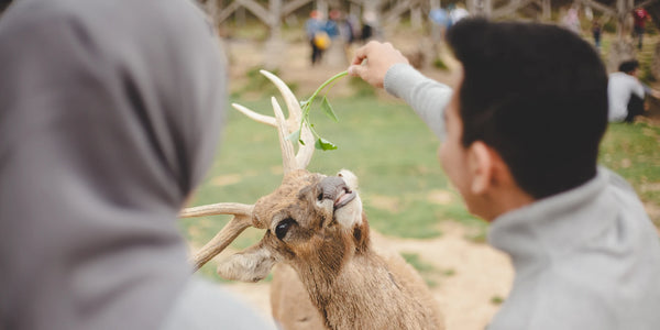 Valentine’s Day Date Ideas