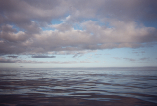 view of the ocean with cloudy sky and reflecting dark blue wobbly water