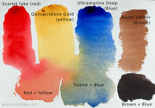 Choosing Your Watercolor Palette: A Complete Guide