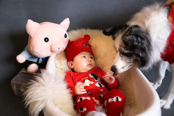 Dog Safe w Newborn 3 - Minnie Zhou Canva Photo - Dr Jeff Veterinarian Blog