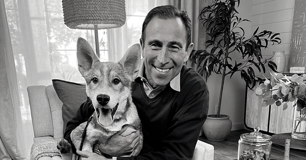 Dr. Jeff Werber's 5 Most Frequently Asked Questions in 2021 1 - Dr. Jeff Werber Celebrity Veterinarian Hollywood CA Blog