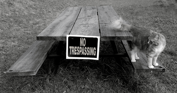 Pet Trespassing Laws by State 2 - Dr. Jeff Werber Celebrity Veterinarian Hollywood CA Blog