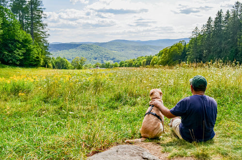 A Man and his dog sit on a hillside looking down into a beautiful, green valley.