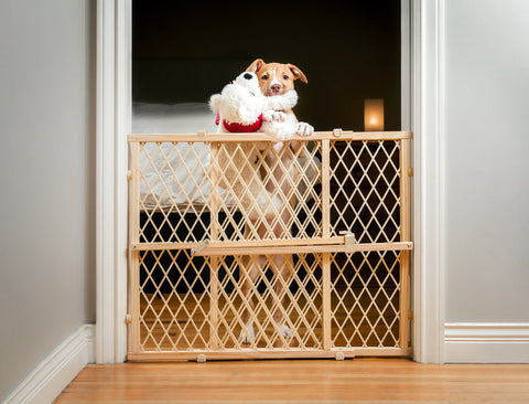 A dog stands at a baby gate in a separate room