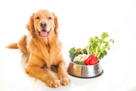 A Golden Retriever sat next to a dog bowl filled with fresh vegetables