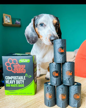 @Smallsausageace with a box of Tuff Pets Poop Bags