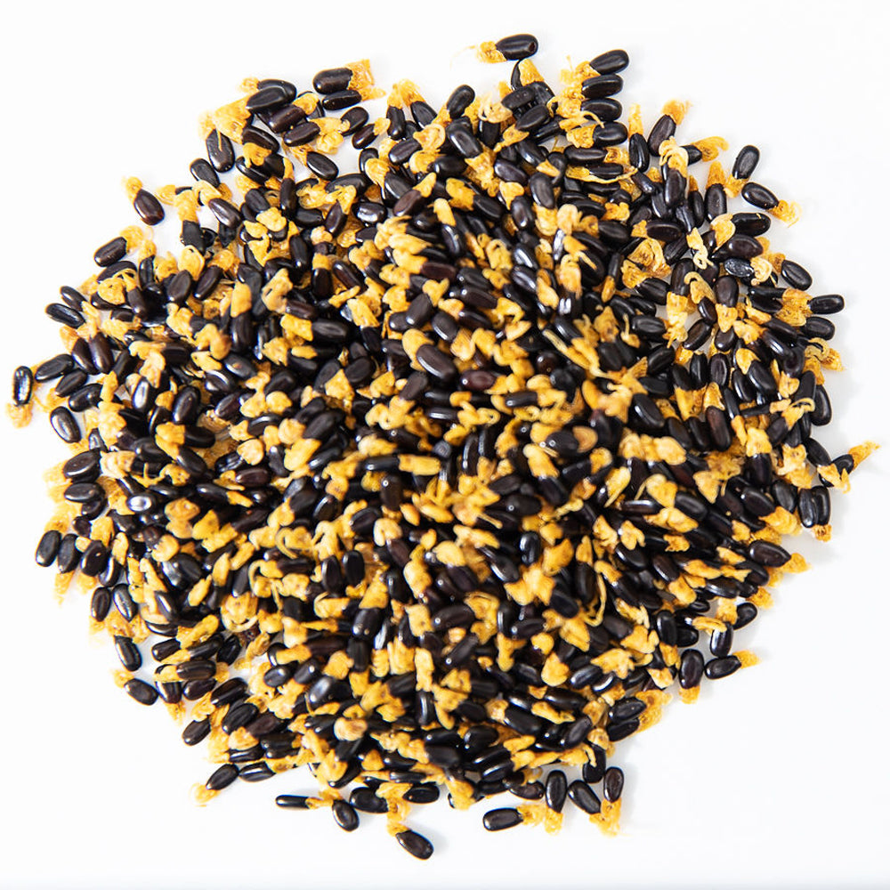 Bush Tucker - Wattle Seed