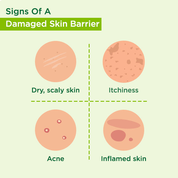 Damaged skin barrier