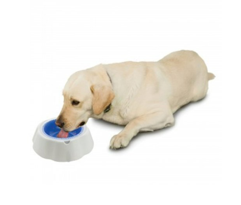 772px x 655px - Frosty Bowl Chilled Pet Water Bowl â€“ CoHo Living Store