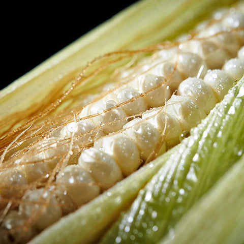 Denatured alchohol from corn