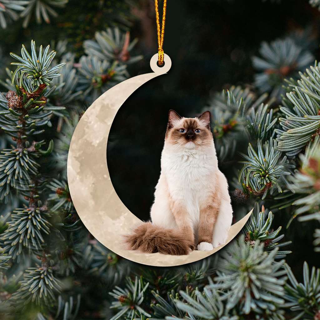 Ragdoll Cat Sits On The Moon - Cat Ornament (Printed On Both Sides) 1022